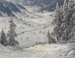 Wintertag Im Menzenschwandertal