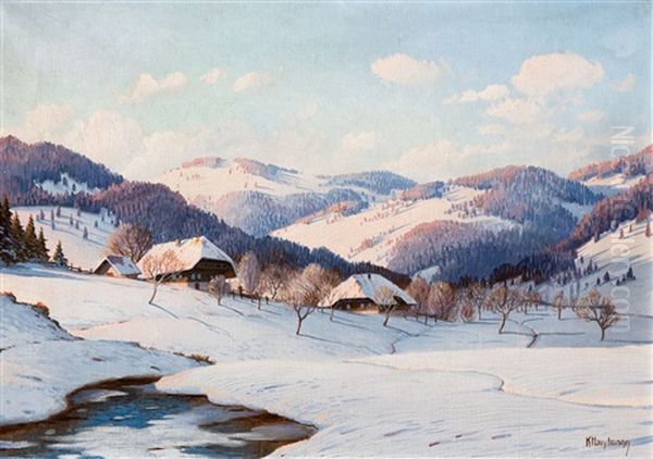 Schwarzwaldhofe In Sonniger Winterlandschaft Mit Bachlauf - view 1