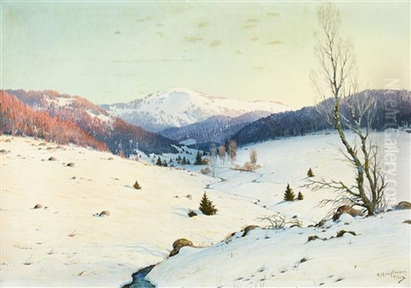 Winter Landscape In Freiburg - view 1