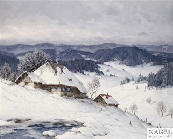 Winterliche Schwarzwaldlandschaft Mit Verschneiten Hausern - view 1