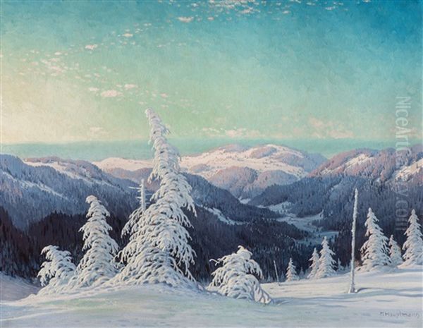 View From Feldberg To Schauinsland - view 1