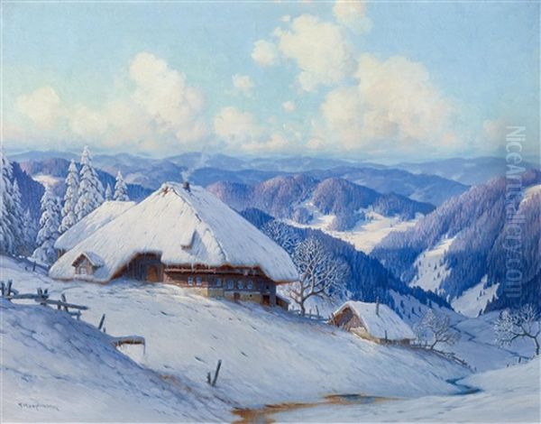 Sunny Winter's Day In The Black Forest - view 1
