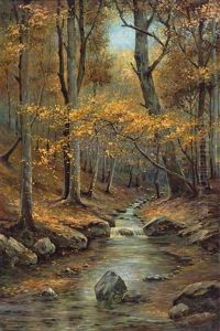 Herbstlicher Waldbach Herbstlicher Waldbach