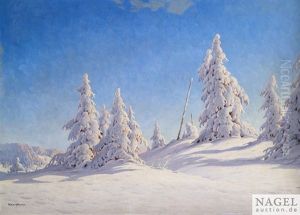 Winterlandschaft Mit Verschneiten Tannen Winterlandschaft Mit Verschneiten Tannen