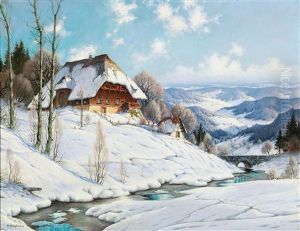 Sonniger Wintertag Im Schwarzwald