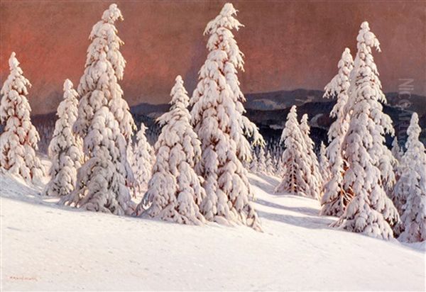 Winter Landscape With Fir Trees At The Black Forest - view 1