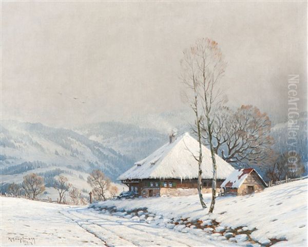 Deeply Snow-covered Black Forest House - view 1