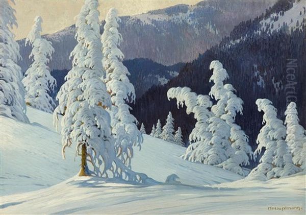 Snow-covered Fir Tree On Feldberg - view 1