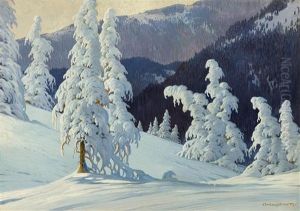 Snow-covered Fir Tree On Feldberg