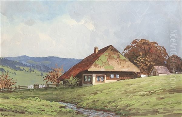 Schwarzwaldhof In Sommerlicher Landschaft - view 1
