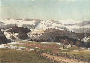 Schneeschmelze Im Schwarzwald Schneeschmelze Im Schwarzwald