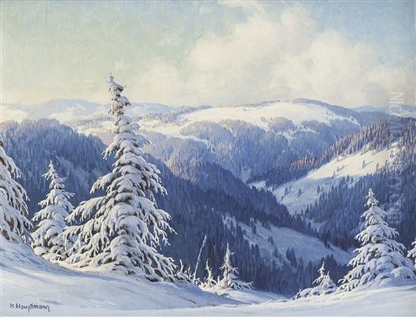 Tief Verschneite Schwarzwaldlandschaft - view 1