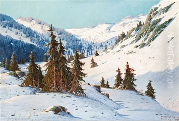 Schneebedeckte Berglandschaft Mit Nadelbaumen - view 1