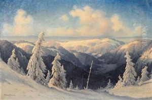 Sonniger Wintertag Im Schwarzwald by Karl Hauptmann