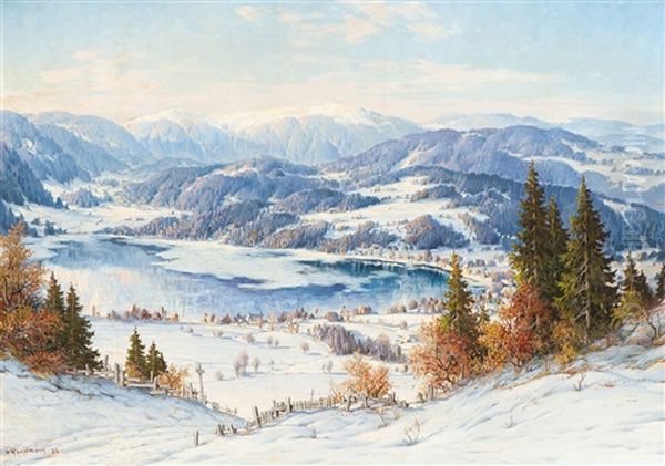 Titisee - view 1