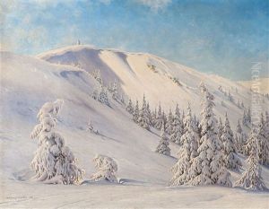 Feldberg Im Winter by Karl Hauptmann