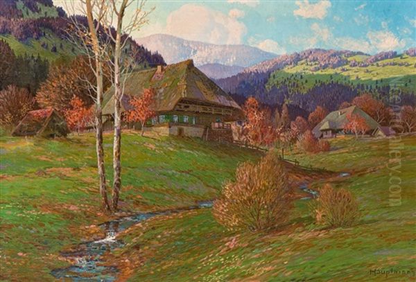 Herbstanfang Im Schwarzwald - view 1