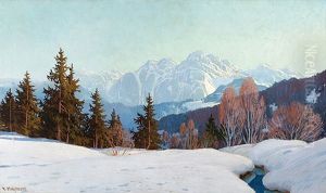 Schnee Im Gebirge Schnee Im Gebirge