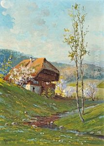 Fruhling Im Schwarzwald Fruhling Im Schwarzwald
