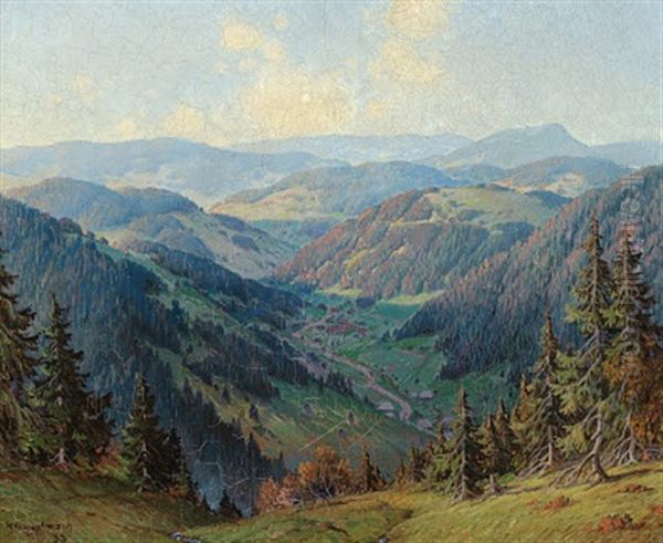 Blick Vom Feldberg Ins Wiesental - view 1