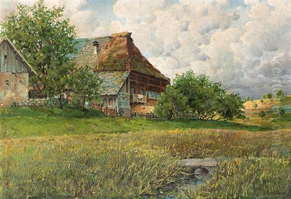 Schwarzwaldhof - view 1