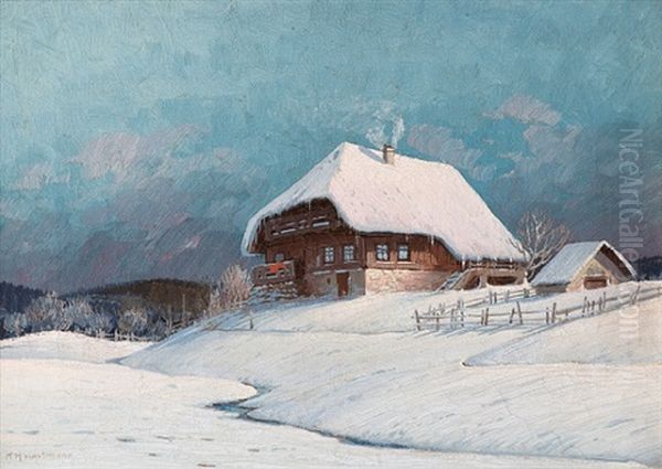 Winterliches Schwarzwaldhaus - view 1