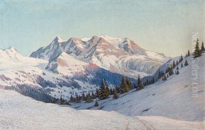 Hochtal In Den Alpen