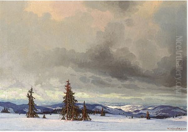 Abend Im Schwarzwald - view 1