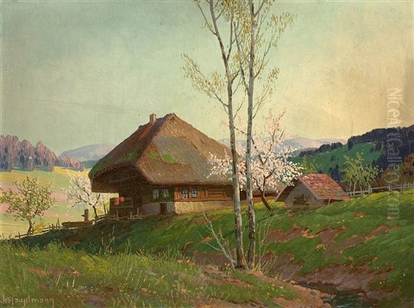 Spring In The Black Forest - view 1