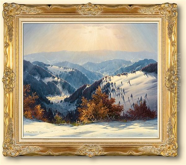 Winter In Schwarzwald - view 1