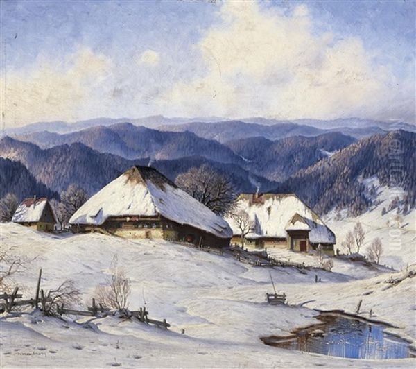 In Bernau, Schwarzwald. Sonniger Wintertag Im Schwarzwald - view 1
