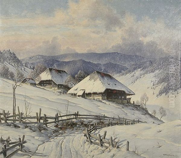 Sonniger Wintertag B. Schonau - view 1