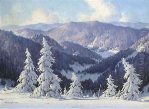 Weiter Blick Von Einer Anhohe Auf Eine Winterlandschaft Weiter Blick Von Einer Anhohe Auf Eine Winterlandschaft