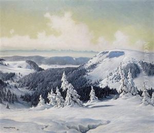 Blick Vom Verschneiten Feldberg (schwarzwald) Auf Die Vogesen Im Hintergrund by Karl Hauptmann