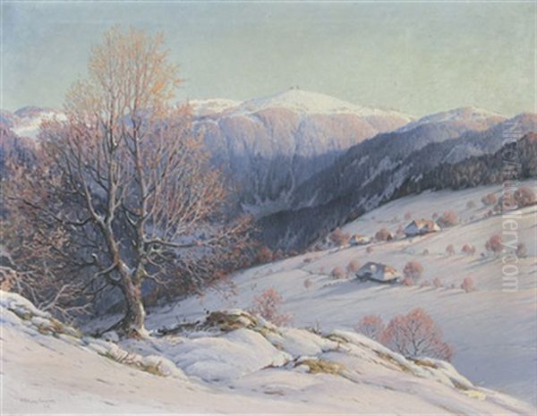 Winterlandschaft Mit Blick Auf Den Feldberg Im Schwarzwald - view 1
