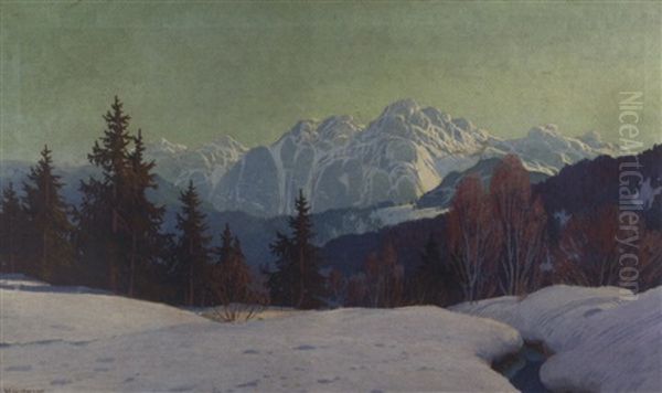 Winter Im Schwartzwald - view 1