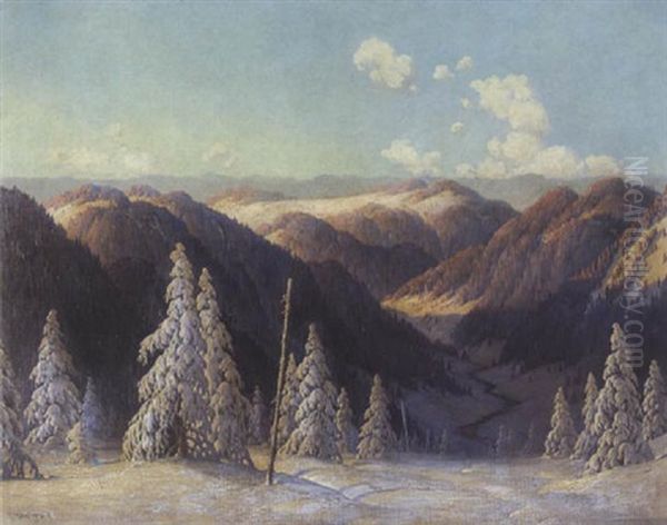 Verschneite Schwarzwald-landschaft - view 1