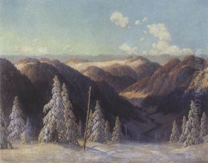 Verschneite Schwarzwald-landschaft Verschneite Schwarzwald-landschaft