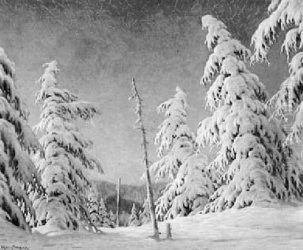 Am Stubenwasen. Feldberg - view 1