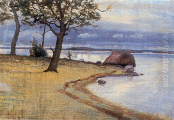 Saunaseuras Strand, Drumso - view 1