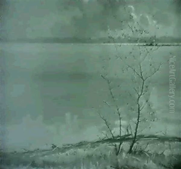 Ansicht Vom Chiemsee Nach Einem Regenschauer - view 1