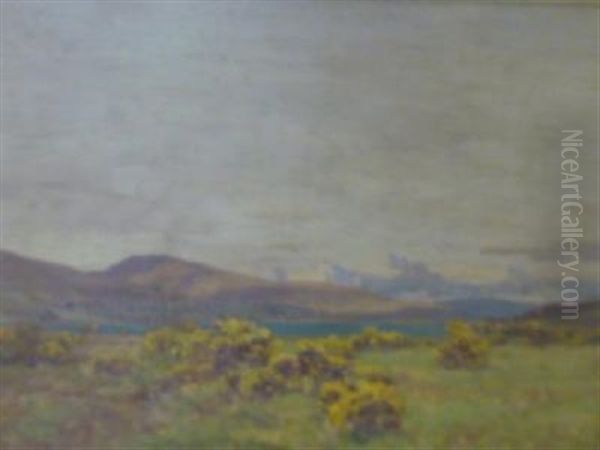 Head Of Loch Fyne - view 1
