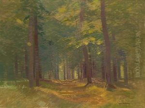 Interior Of The Forest by Roman Havelka