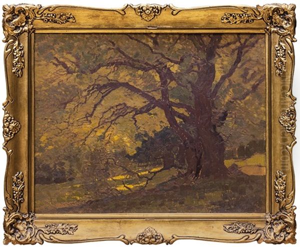 Z Obory - view 1