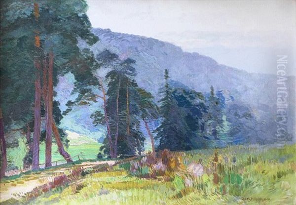 Krajina - view 1