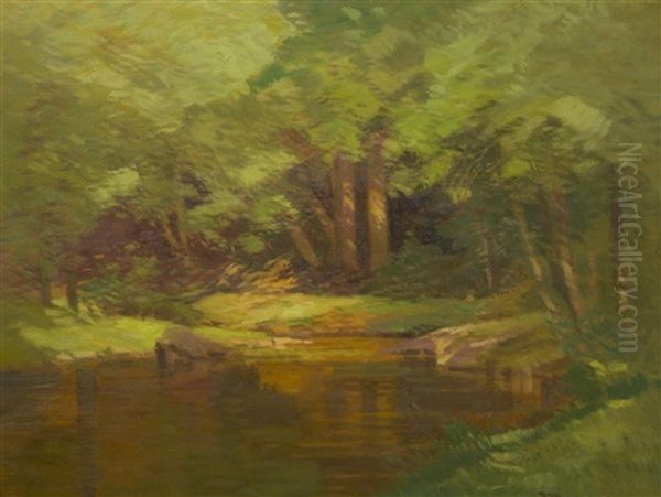 A Forest Still Life - view 1