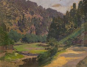 The River In The Valley by Roman Havelka