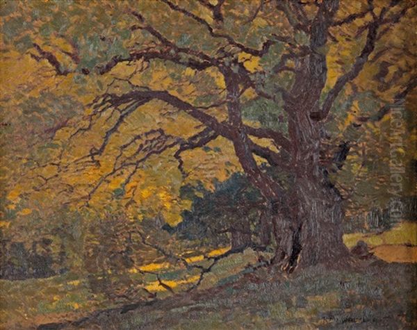 Z Obory - view 1