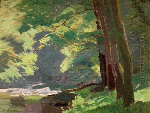 Treetops Over A River - view 1