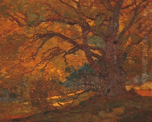 Z Obory - view 1